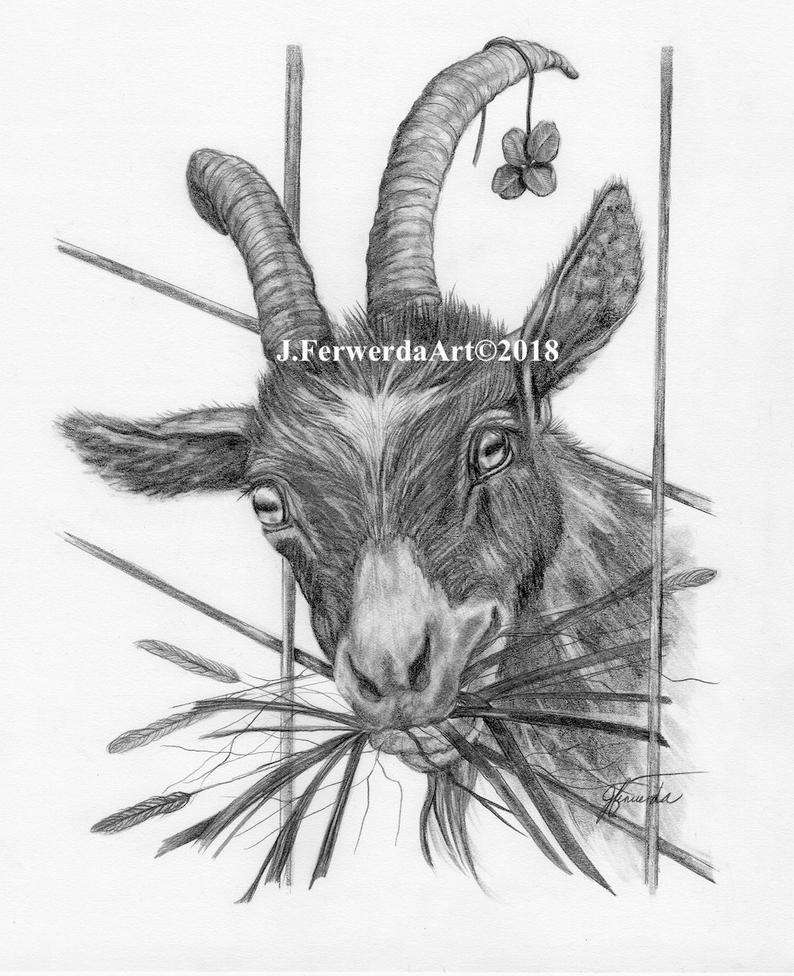 794x976 Pencil Drawing Print Grass Is Greener Etsy - Grass Pencil Drawing