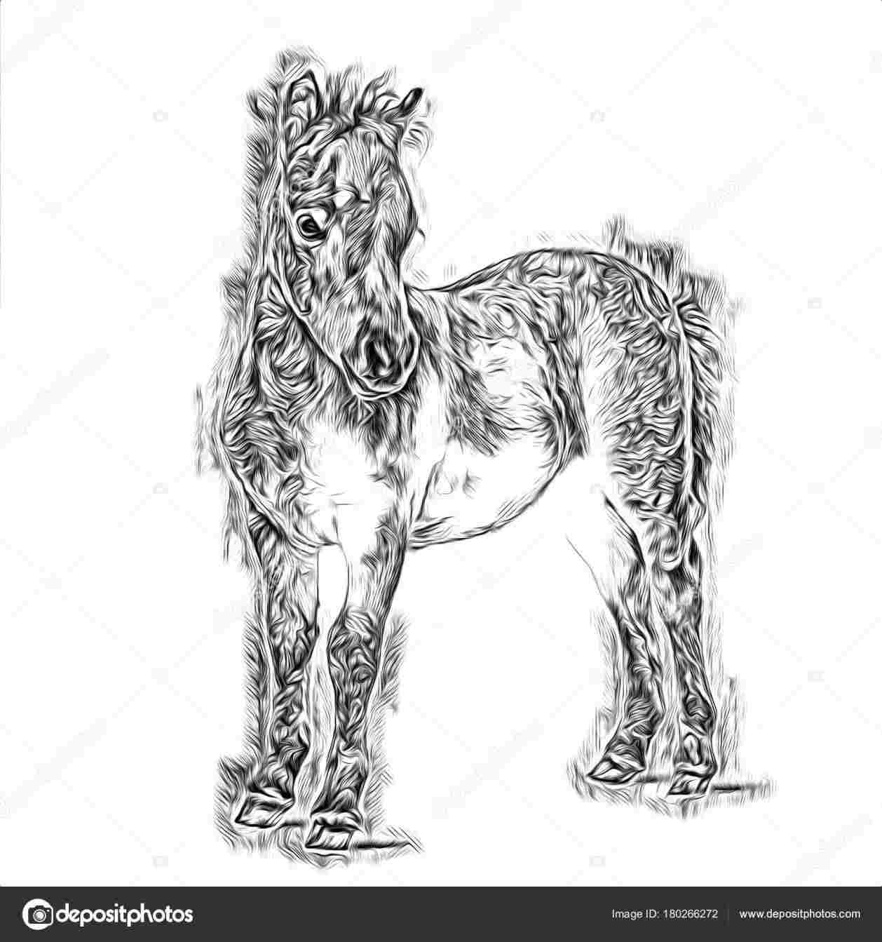 1258x1343 Head Sketch Images Pencil Drawing Painting Rhdrawingslycom Baby - Grass Pencil Drawing