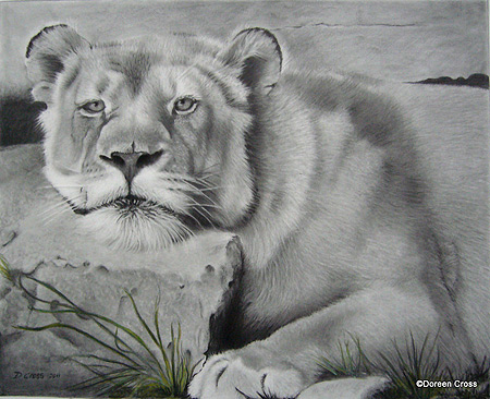 450x366 Detailed Pencil Drawings Of Animals And People - Grass Pencil Drawing