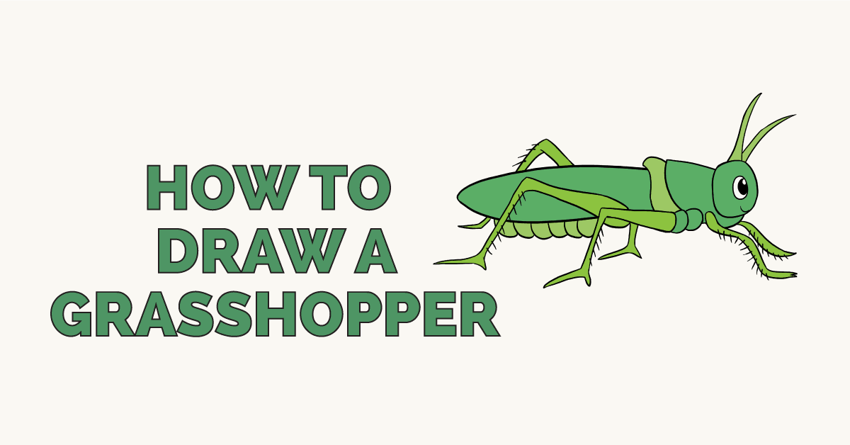 1200x628 how to draw a grasshopper - Grasshopper Drawing
