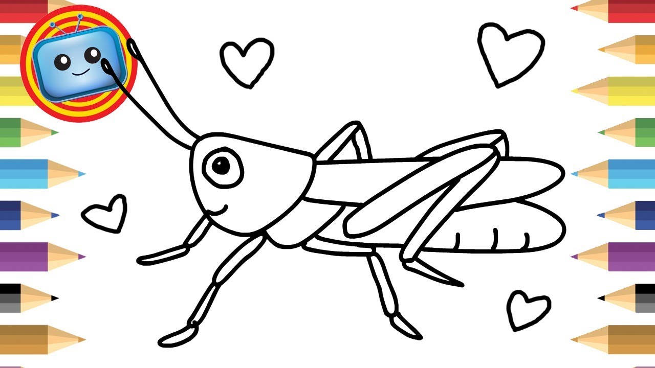 1280x720 how to draw a grasshopper colouring book simple drawing game - Grasshopper Drawing