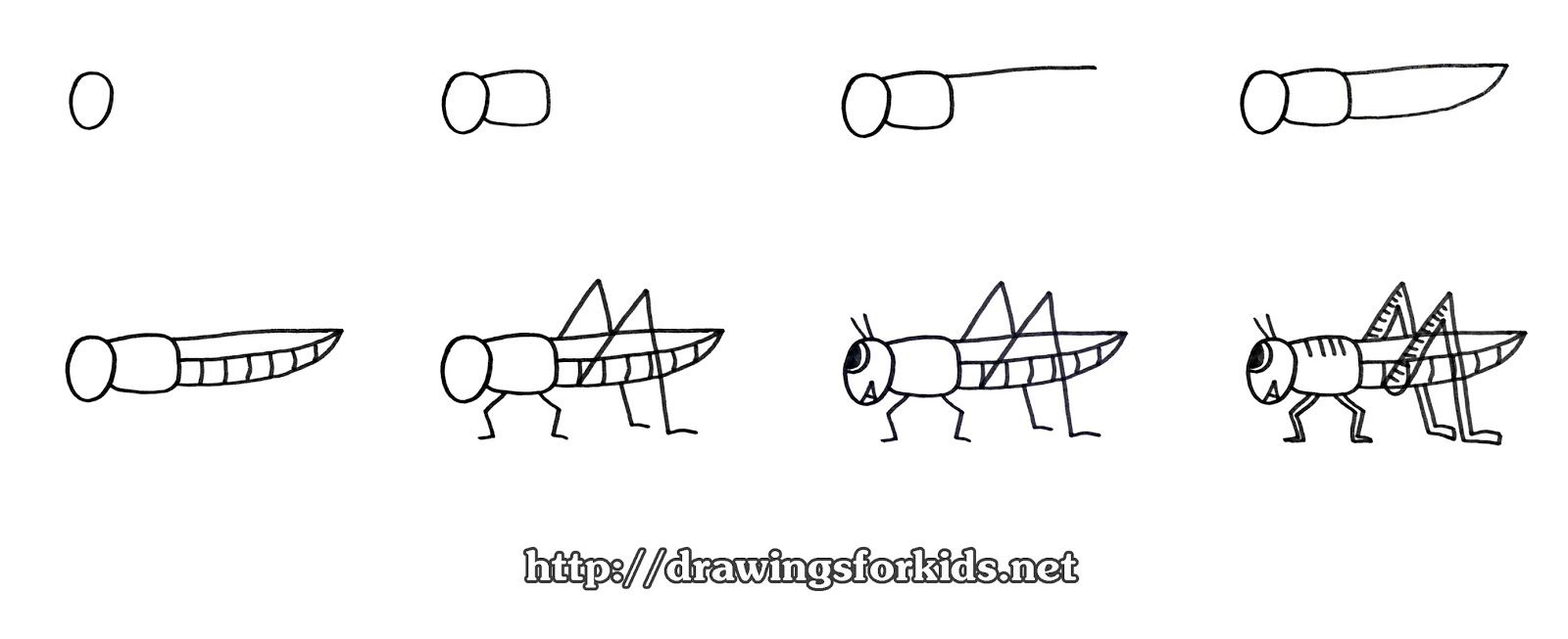 1600x653 how to draw a grasshopper for kids - Grasshopper Drawing