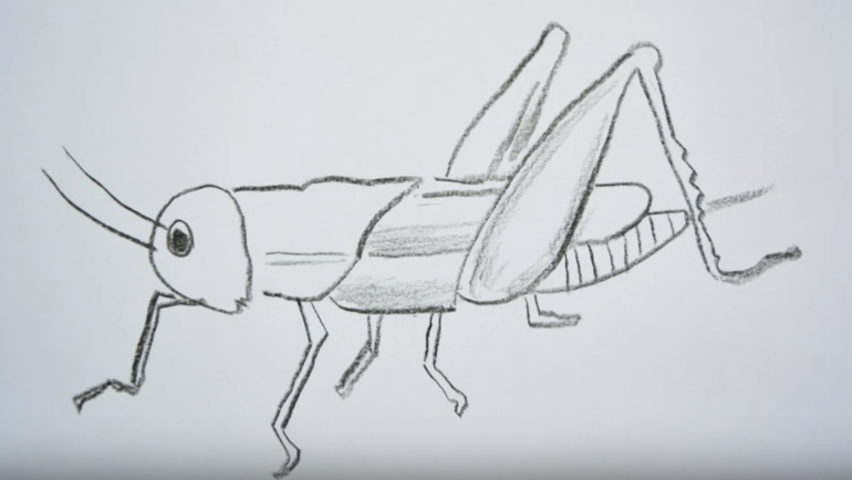 770x434 how to draw a grasshopper easy step - Grasshopper Drawing