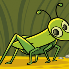 220x220 how to draw how to draw a grasshopper for kids - Grasshopper Drawing