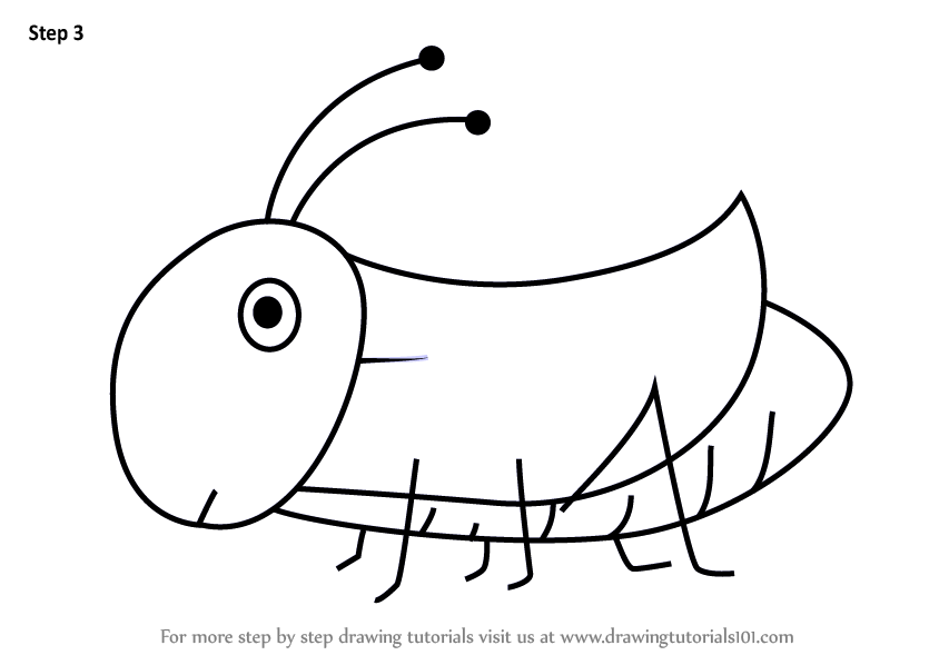 844x598 learn how to draw a grasshopper for kids - Grasshopper Drawing