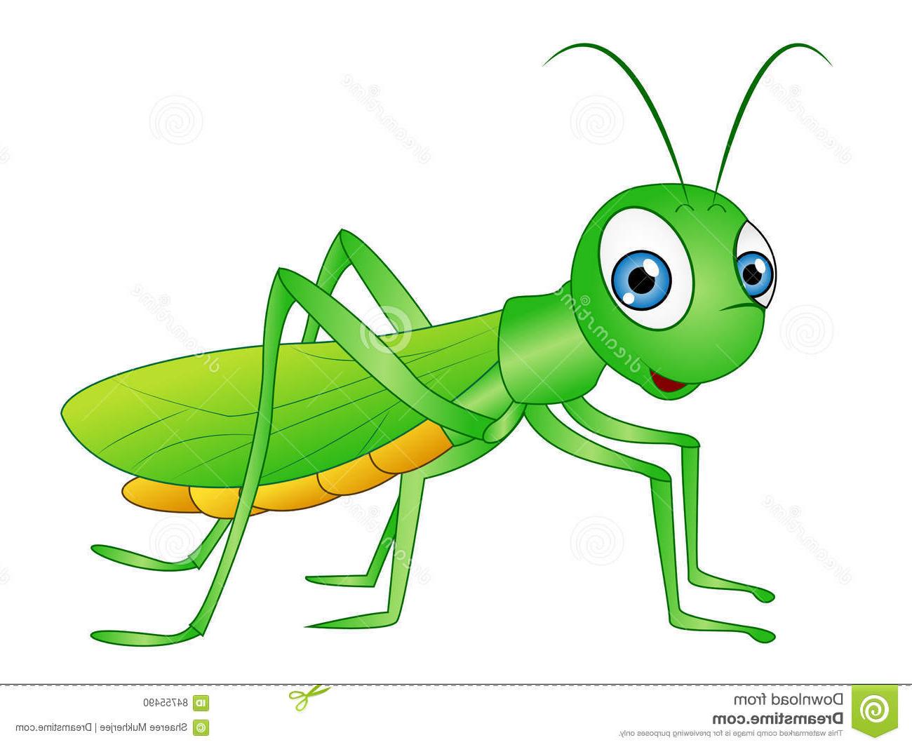 1300x1065 best hd cartoon grasshopper clip art vector illustration cute big - Grasshopper Drawing
