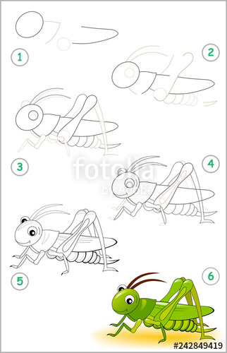 322x500 Educational - Grasshopper Drawing For Kids