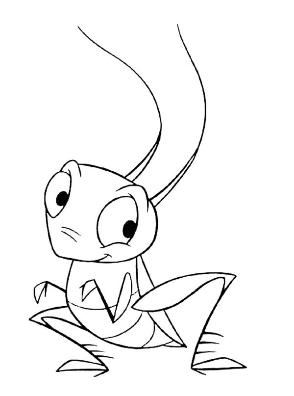 600x807 grasshopper coloring pages for kids - Grasshopper Drawing For Kids