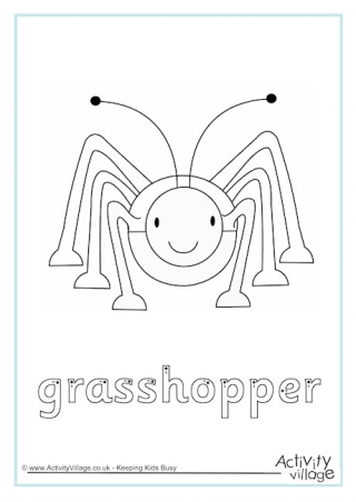 320x452 Grasshoppers - Grasshopper Drawing For Kids