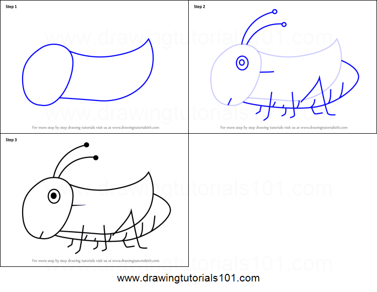 751x581 how to draw a grasshopper for kids printable step - Grasshopper Drawing For Kids