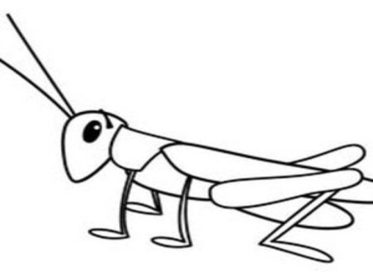 Grasshopper Drawing For Kids at PaintingValley.com | Explore collection ...