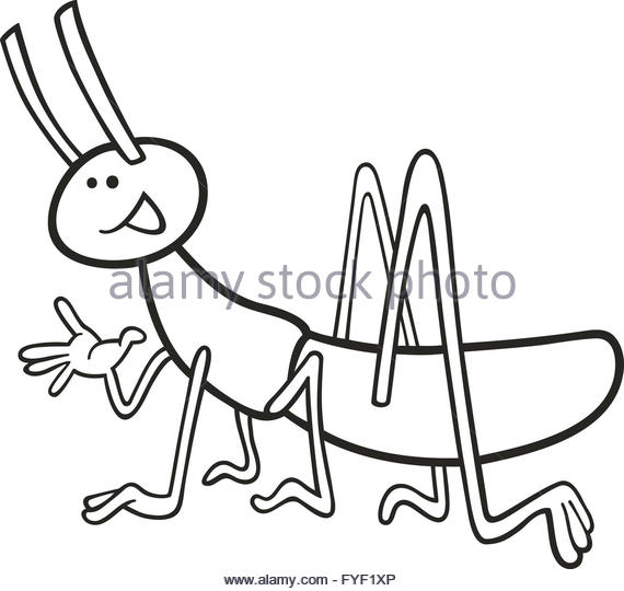 570x540 huge collection of 'grasshopper drawing outline' download more - Grasshopper Drawing For Kids