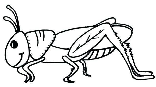 640x357 Coloring Pages For Adults To Print Kids Animals Printable - Grasshopper Drawing For Kids