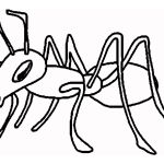 150x150 grasshopper drawing outline - Grasshopper Drawing Outline