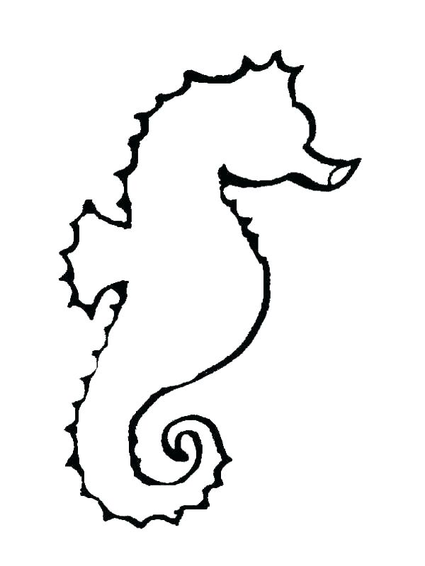 600x800 Coloring Pages Seahorse Coloring - Grasshopper Drawing Outline