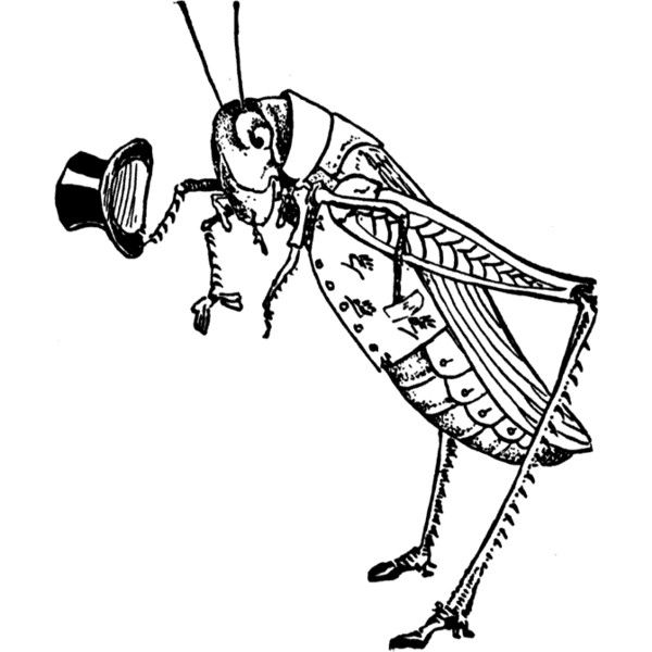 600x600 Grasshopper Clipart Line - Grasshopper Line Drawing