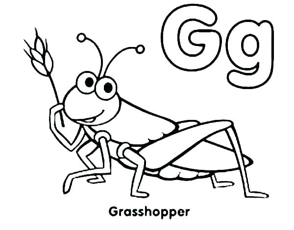 600x470 Line Drawing Of A Grasshopper At Getdrawings Com Free For Personal - Grasshopper Line Drawing