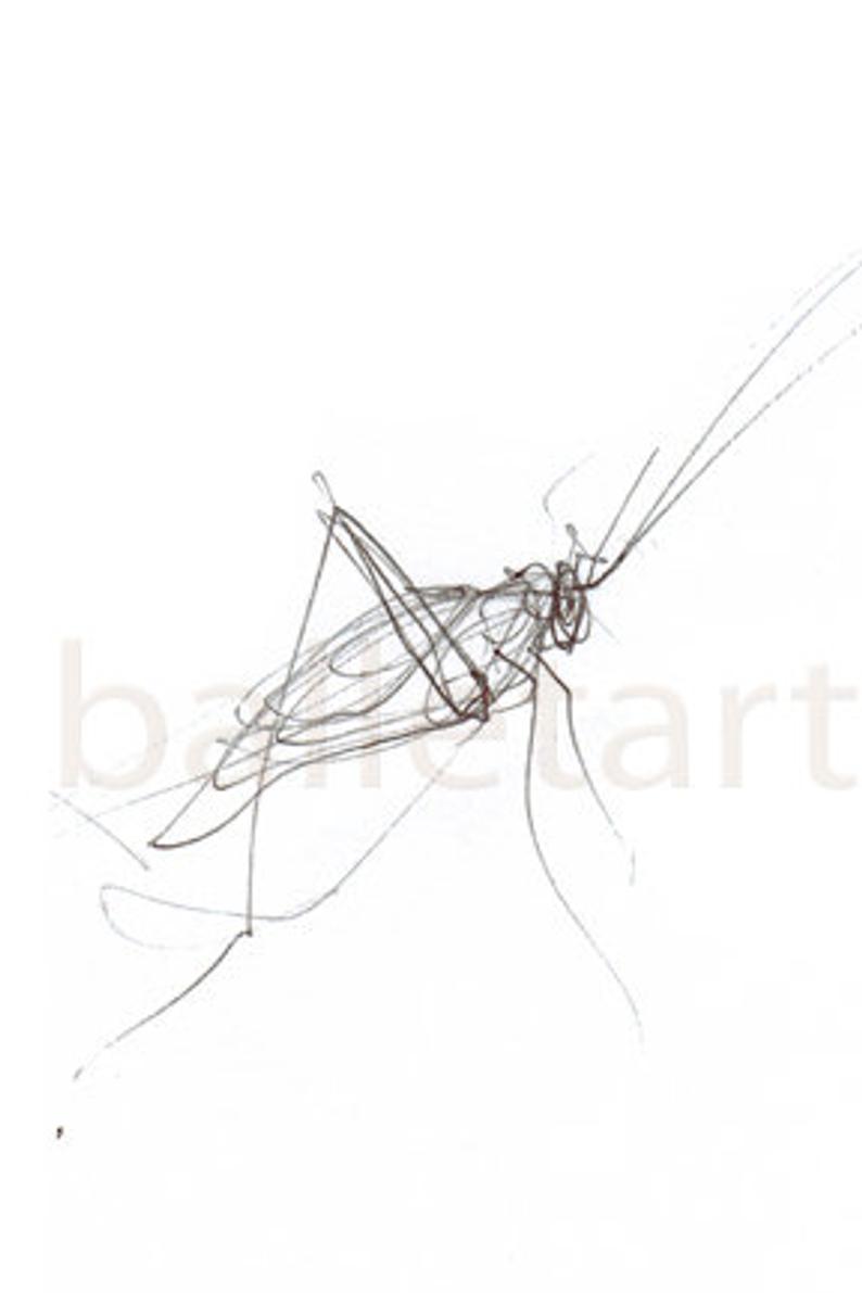 794x1191 The Grasshopper Art Insect Drawing Wall Art Art Print Etsy - Grasshopper Line Drawing