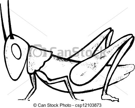 450x360 Hand Drawn, Vector, Sketch Illustration Of Grasshopper - Grasshopper Wings Drawing