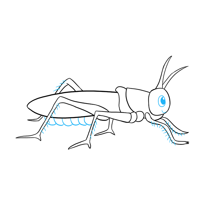680x678 How To Draw A Grasshopper - Grasshopper Wings Drawing