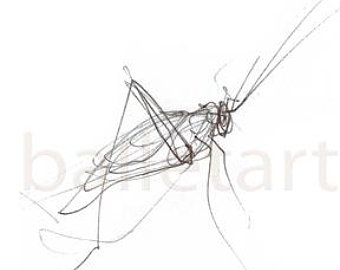 340x270 The Grasshopper Art Insect Drawing Wall Art Art Print Etsy - Grasshopper Wings Drawing