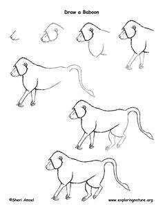 Grassland Animals Drawing