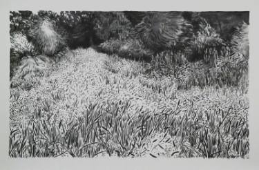 375x246 grassland - Grassland Drawing
