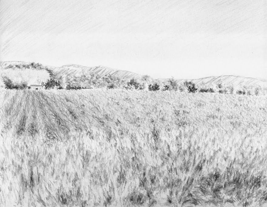 Grassland Drawing at Explore collection of