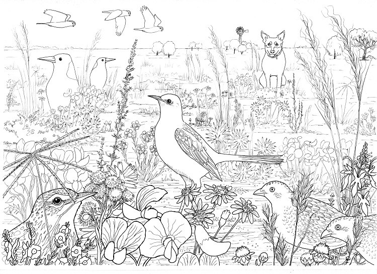 750x545 how to draw a grassland part one paperbark writer - Grassland Drawing