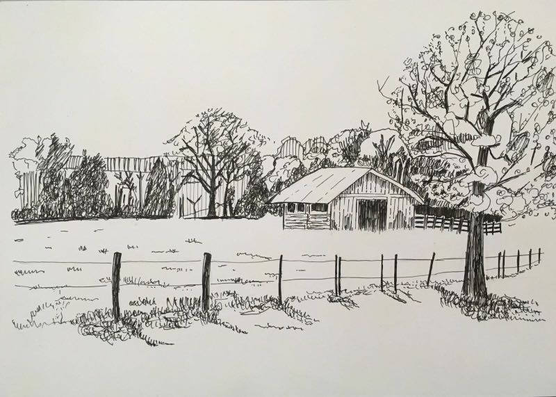 800x571 pen and ink drawing of a grassland barn, design craft, art - Grassland Drawing