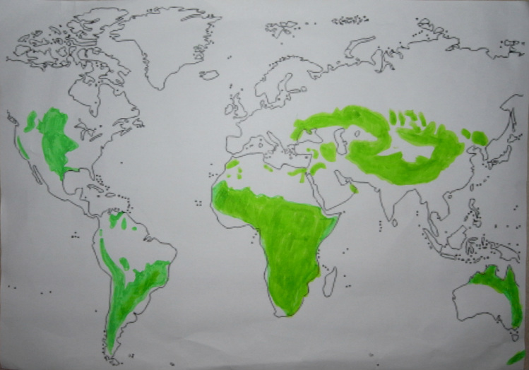 749x524 the drawing - Grassland Drawing