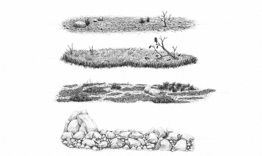 850x505 How To Draw Grass, Ground, And Rocks - Gravel Drawing
