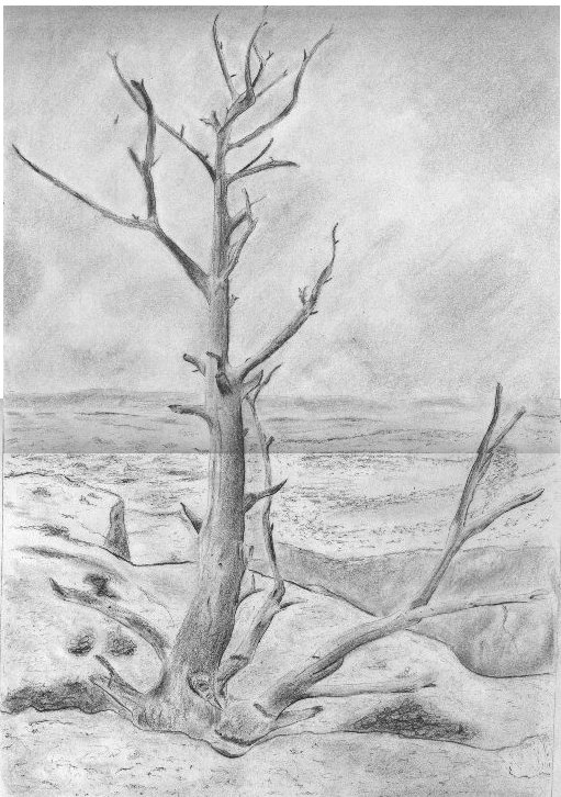 511x726 weekly drawing thread, may - Gravel Drawing