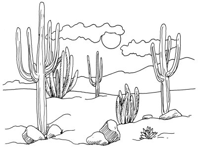 400x299 how to draw desert cacti howstuffworks - Gray Drawing