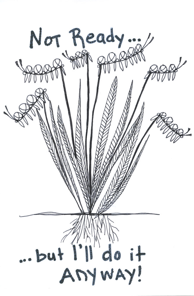 671x1023 Drawing A Is For Anika - Gray Drawing