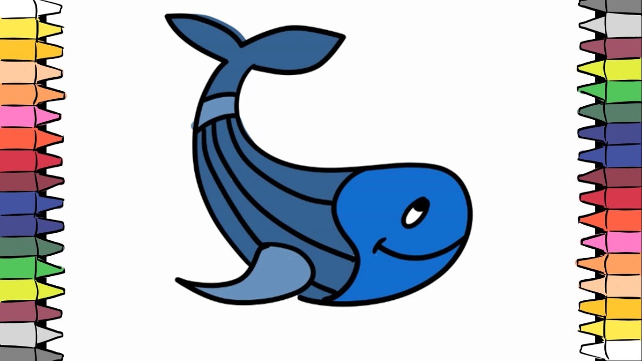 1280x720 how to draw a gray whale draw and color best kids channel - Gray Whale Drawing