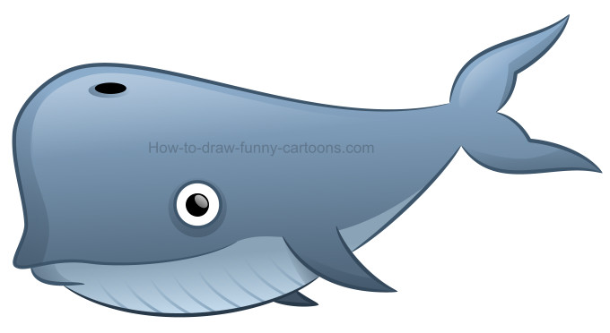 680x372 how to draw the biggest whale possible - Gray Whale Drawing