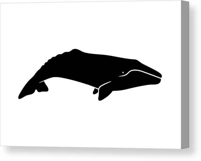 661x529 silhouette of gray whale vector illustration isolated on white - Gray Whale Drawing