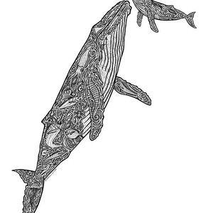 300x300 gray whale and calf drawing - Gray Whale Drawing