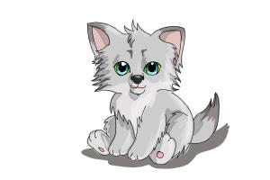 300x200 How To Draw A Wolf Face - Gray Wolf Drawing