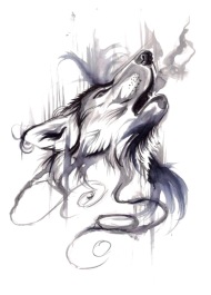 190x265  - Gray Wolf Drawing