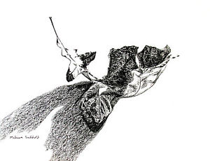 300x230 Oak Leaf Charcoal Black And White Artwork Grayscale Drawing X - Grayscale Drawing