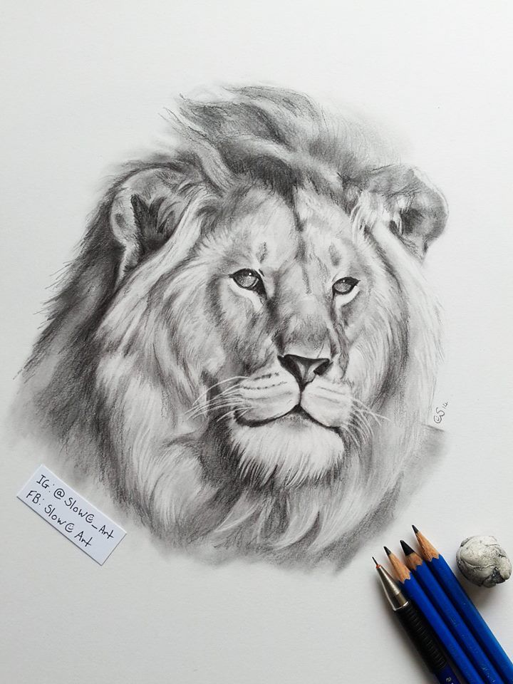 Grayscale Drawing at Explore collection of