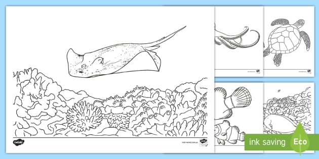 630x315 great barrier reef colouring pages - Great Barrier Reef Drawing