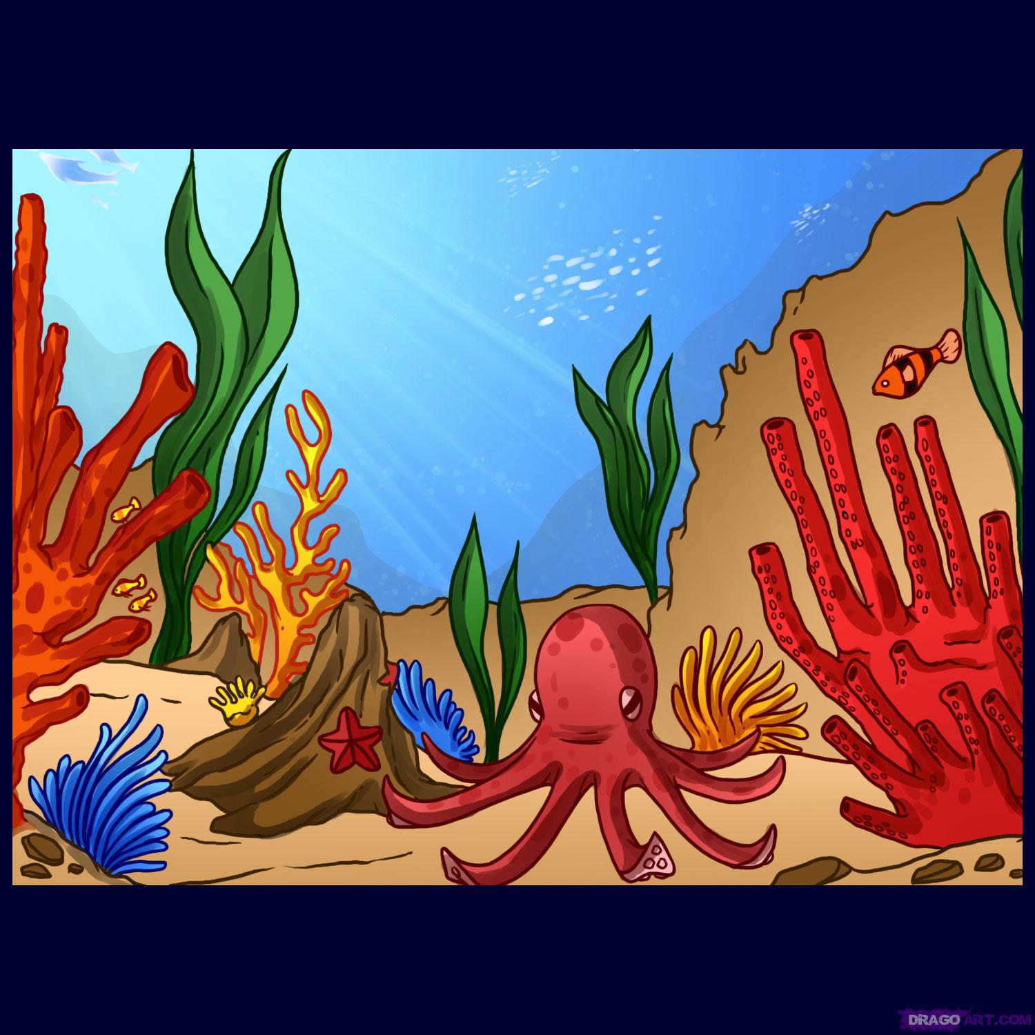 Great Barrier Reef Drawing at Explore collection