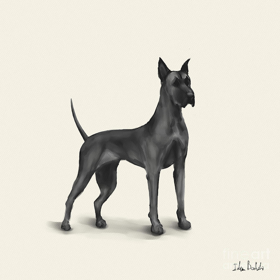 Great Dane Drawing at PaintingValley.com | Explore collection of Great ...