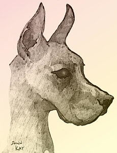 230x300 Great Dane Drawing - Great Dane Drawing