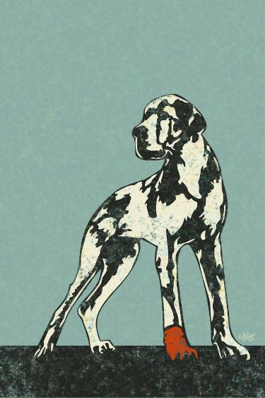 375x563 Great Dane With A Red Sock - Great Dane Drawing