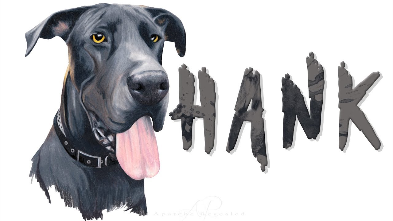 1280x720 Dog Drawing Of A Great Dane, Hank - Great Dane Drawing