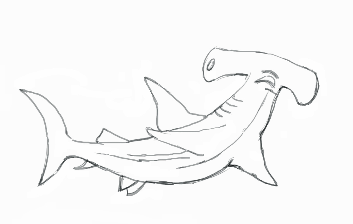 1150x728 How To Draw A Hammerhead Shark - Great Hammerhead Shark Drawing